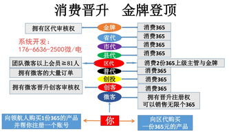 微客新零售軟件開發 廣州軟件開發公司的創新賦能與行業解決方案