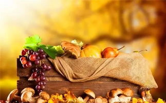 秋季養(yǎng)生家中必備食材10大排行榜，中醫(yī)養(yǎng)生保健服務指南